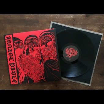 ARNAUT PAVLE Demo LP [VINYL 12"]